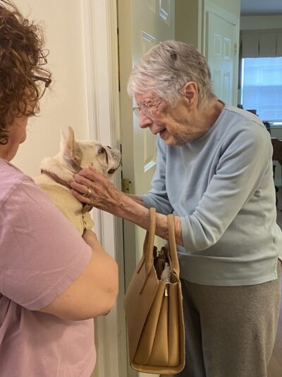 WonderDogs Canine Training & Activity Center - Berlin Township, NJ