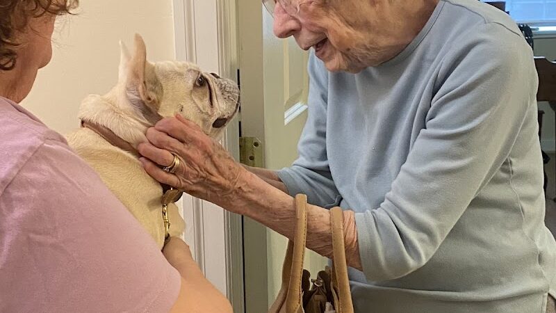 WonderDogs Canine Training & Activity Center - Berlin Township, NJ