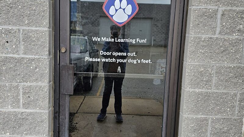 WonderDogs Canine Training & Activity Center - Berlin Township, NJ