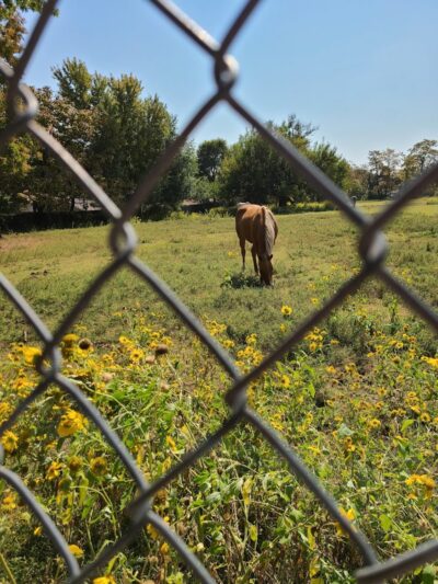 Garrison Park - Bethany, OK