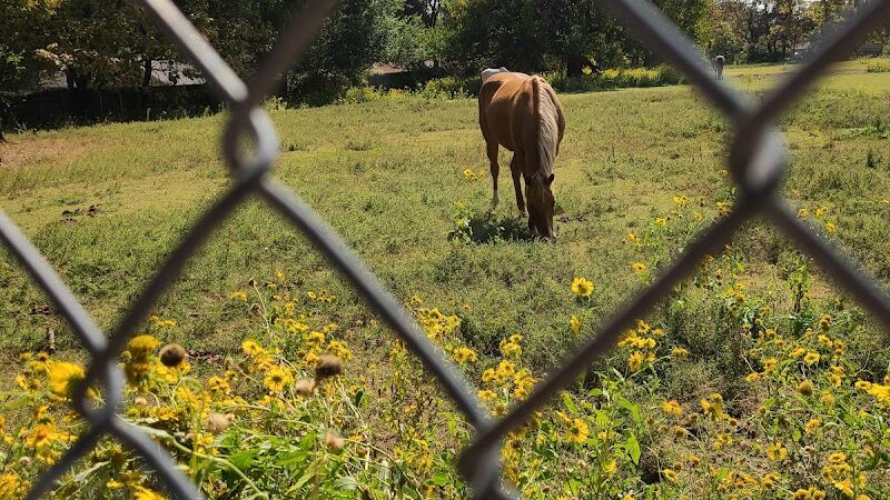 Garrison Park - Bethany, OK