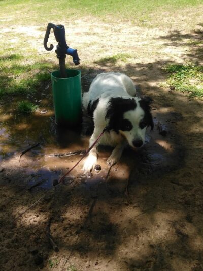Garrison Park - Bethany, OK
