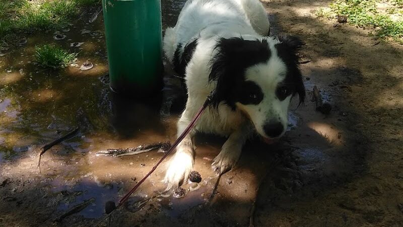Garrison Park - Bethany, OK