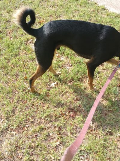 Garrison Park - Bethany, OK