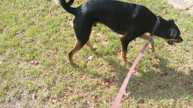 Garrison Park - Bethany, OK