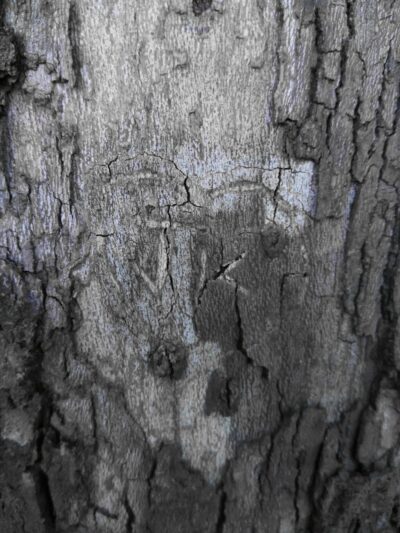 Garrison Park - Bethany, OK