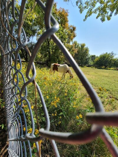 Garrison Park - Bethany, OK