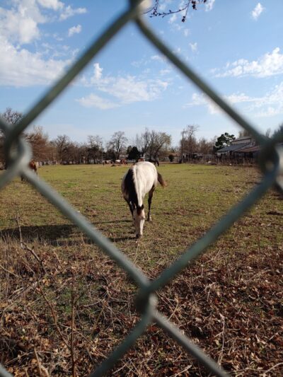 Garrison Park - Bethany, OK