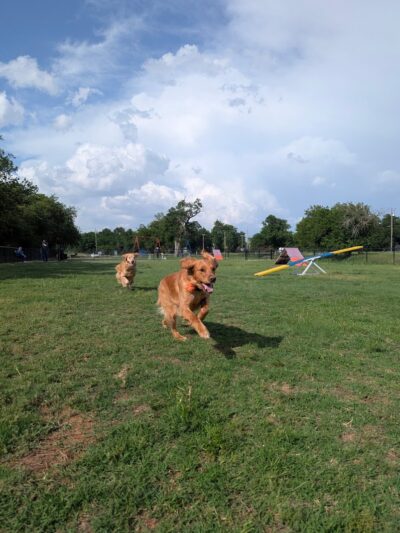 Ron Clark Park - Bethany, OK
