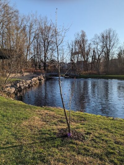 Meckauer Park - Bethel, CT