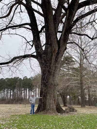 Toad Suck Park - Bigelow, AR