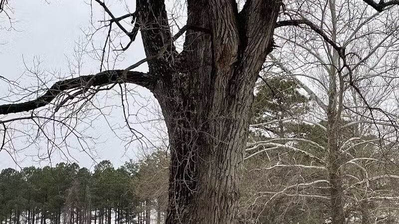 Toad Suck Park - Bigelow, AR