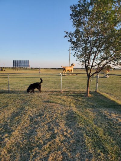 OnCue Truck Stop And Dog Park - Billings, OK