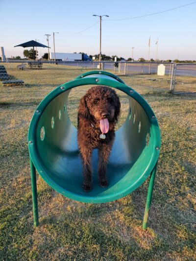 OnCue Truck Stop And Dog Park - Billings, OK