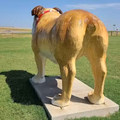 OnCue Truck Stop And Dog Park - Billings, OK