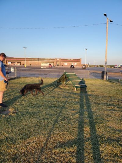 OnCue Truck Stop And Dog Park - Billings, OK