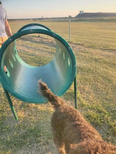 OnCue Truck Stop And Dog Park - Billings, OK