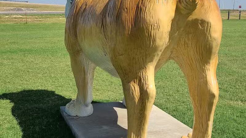 OnCue Truck Stop And Dog Park - Billings, OK