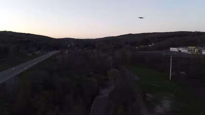 Canine Commons Dog Park - Binghamton, NY