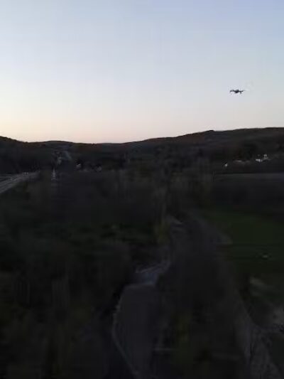 Canine Commons Dog Park - Binghamton, NY