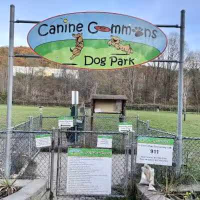 Canine Commons Dog Park - Binghamton, NY