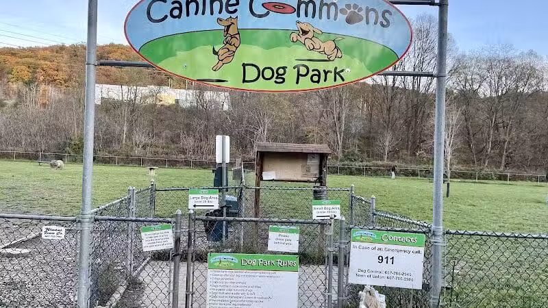 Canine Commons Dog Park - Binghamton, NY