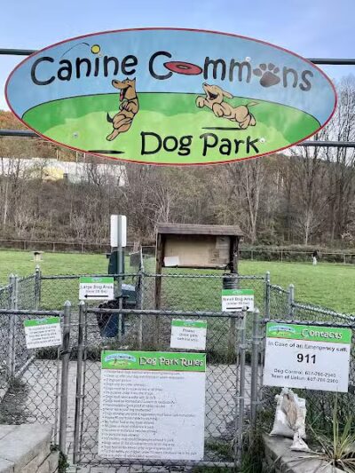 Canine Commons Dog Park - Binghamton, NY