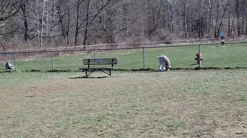 Canine Commons Dog Park - Binghamton, NY