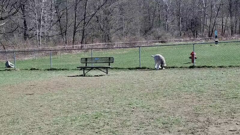 Canine Commons Dog Park - Binghamton, NY