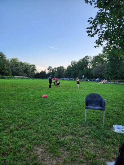 Canine Commons Dog Park - Binghamton, NY