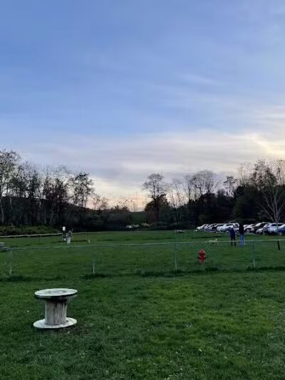 Canine Commons Dog Park - Binghamton, NY