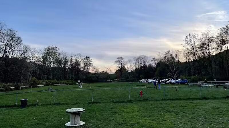 Canine Commons Dog Park - Binghamton, NY