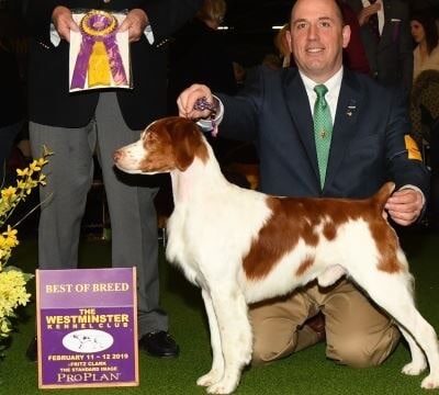 Hope's Kennels Inc - Blairstown, NJ