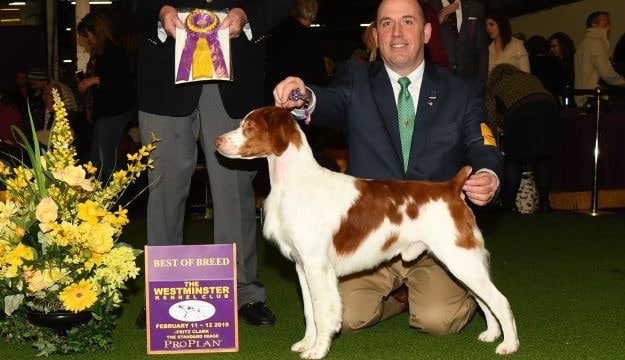 Hope's Kennels Inc - Blairstown, NJ