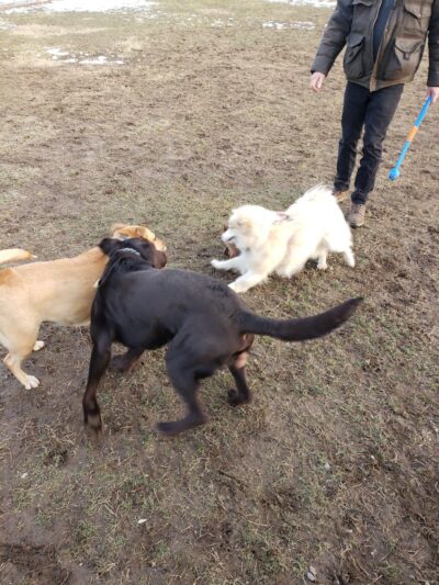 Sycamore Park - Blairstown, NJ