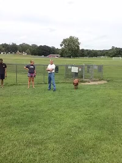 Sycamore Park - Blairstown, NJ