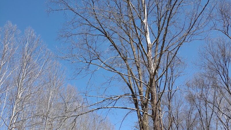 Kelley Park - Blairsville, PA