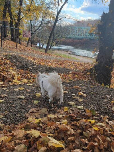 Kelley Park - Blairsville, PA