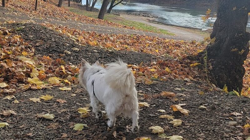 Kelley Park - Blairsville, PA