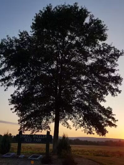 Samuel Wheeler Reed Park - Bloomfield, CT