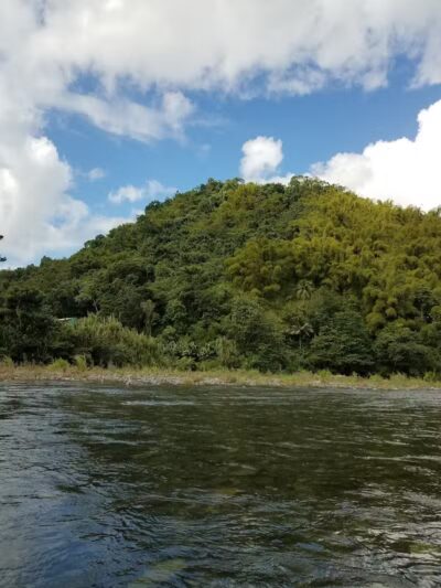 Samuel Wheeler Reed Park - Bloomfield, CT