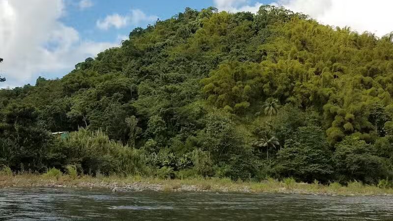 Samuel Wheeler Reed Park - Bloomfield, CT