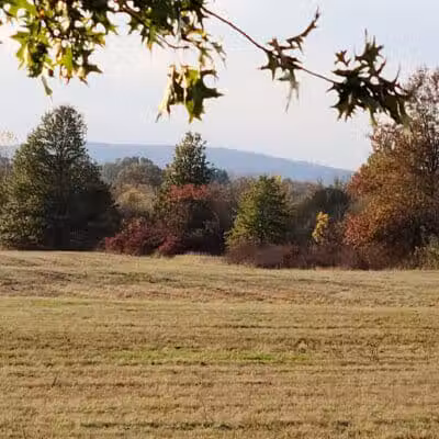 Samuel Wheeler Reed Park - Bloomfield, CT