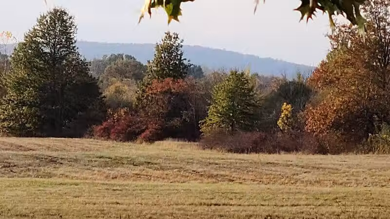 Samuel Wheeler Reed Park - Bloomfield, CT