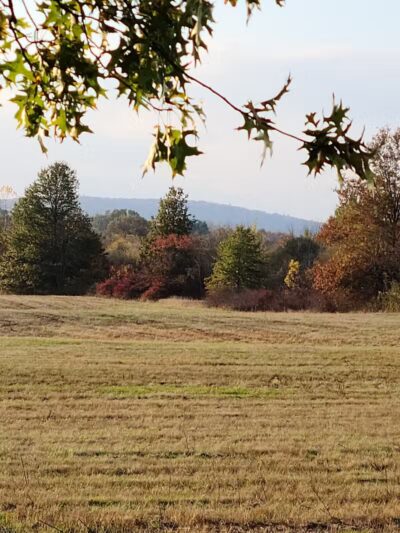 Samuel Wheeler Reed Park - Bloomfield, CT