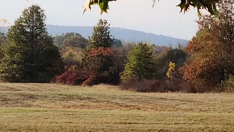Samuel Wheeler Reed Park - Bloomfield, CT
