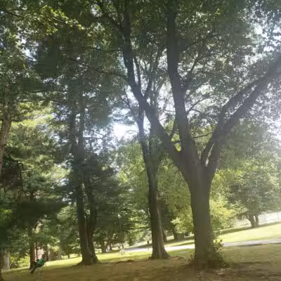 Brookdale Park - Bloomfield, NJ