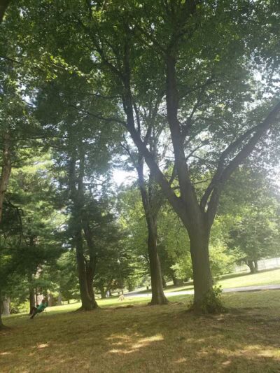 Brookdale Park - Bloomfield, NJ