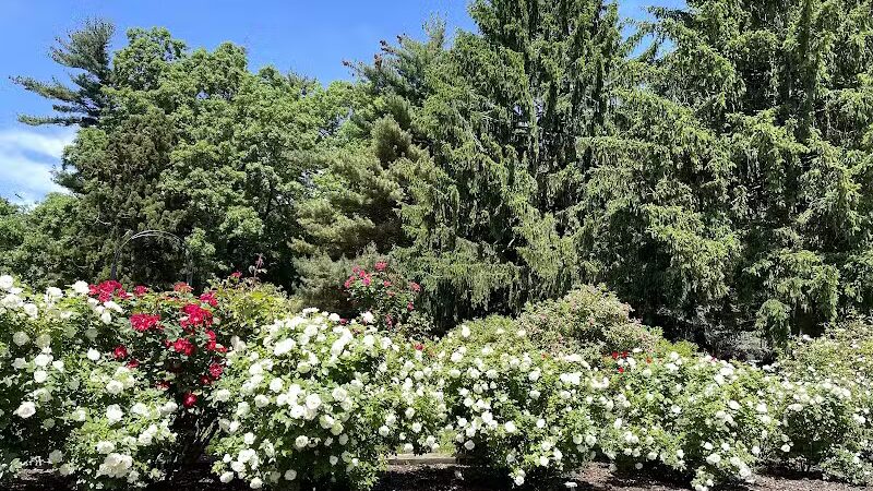 Brookdale Park - Bloomfield, NJ