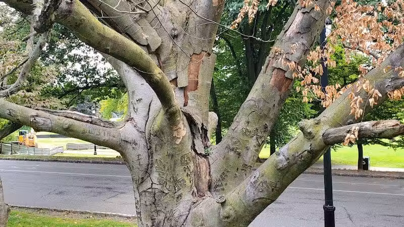 Brookdale Park - Bloomfield, NJ